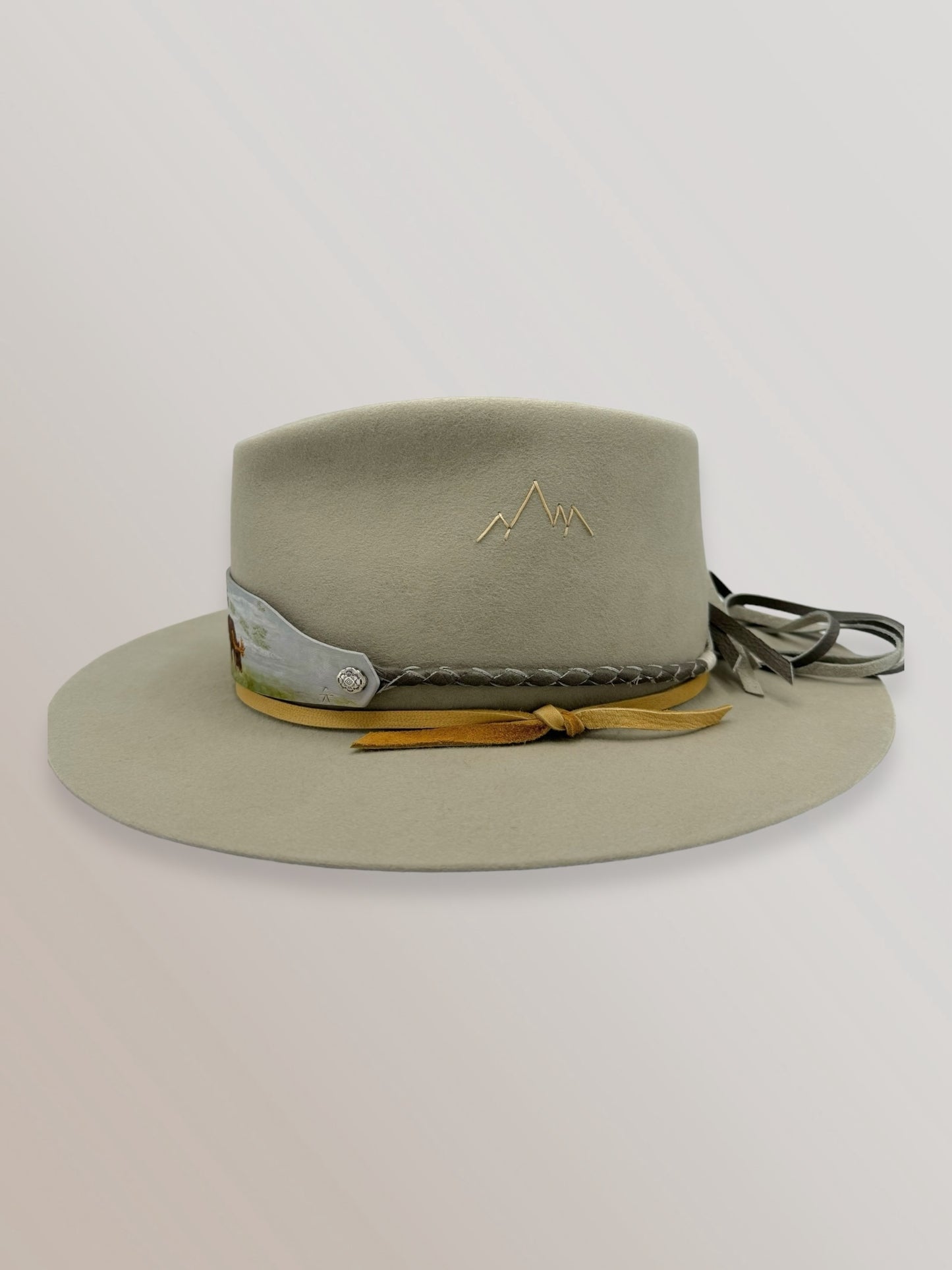 Misty Morning Teton Moose