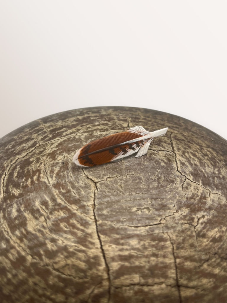 Leather Feather Pins