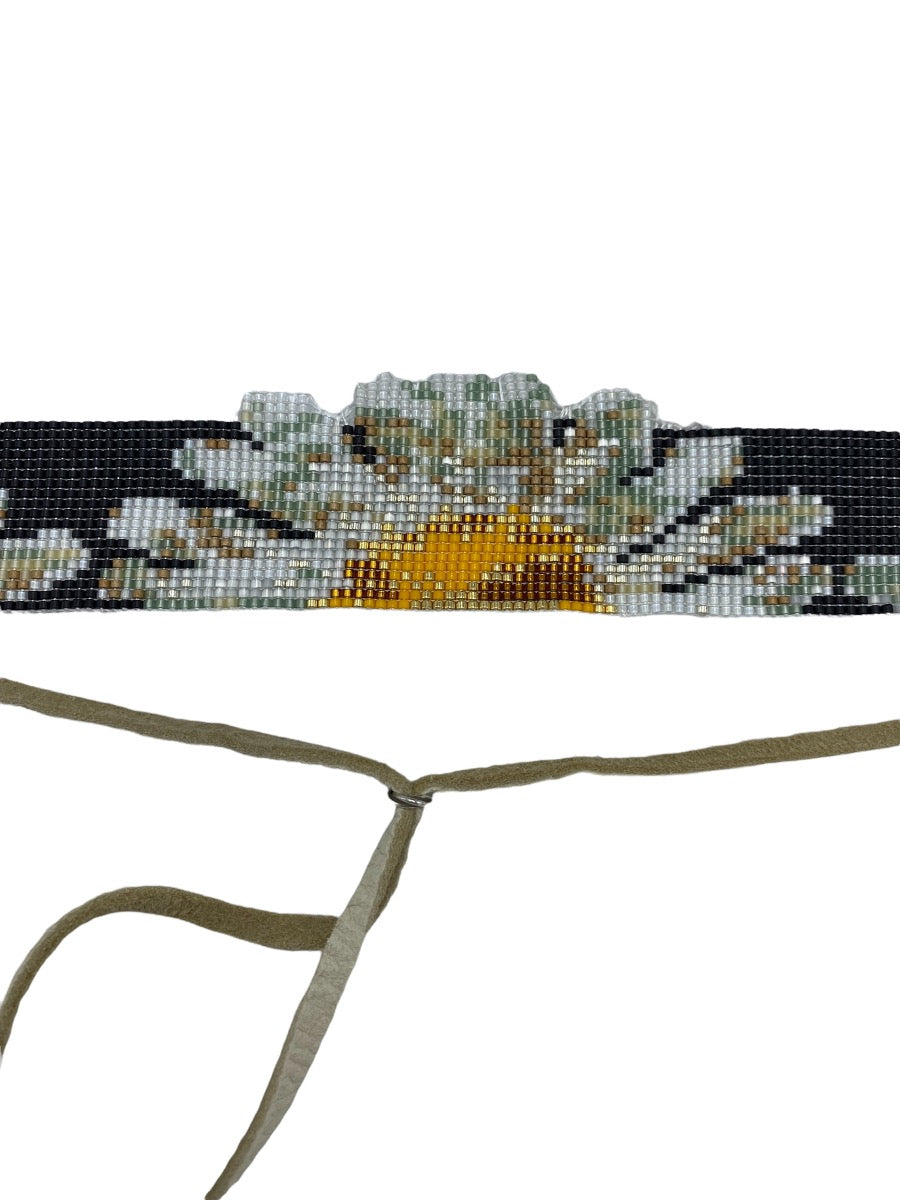 Daisy Flower