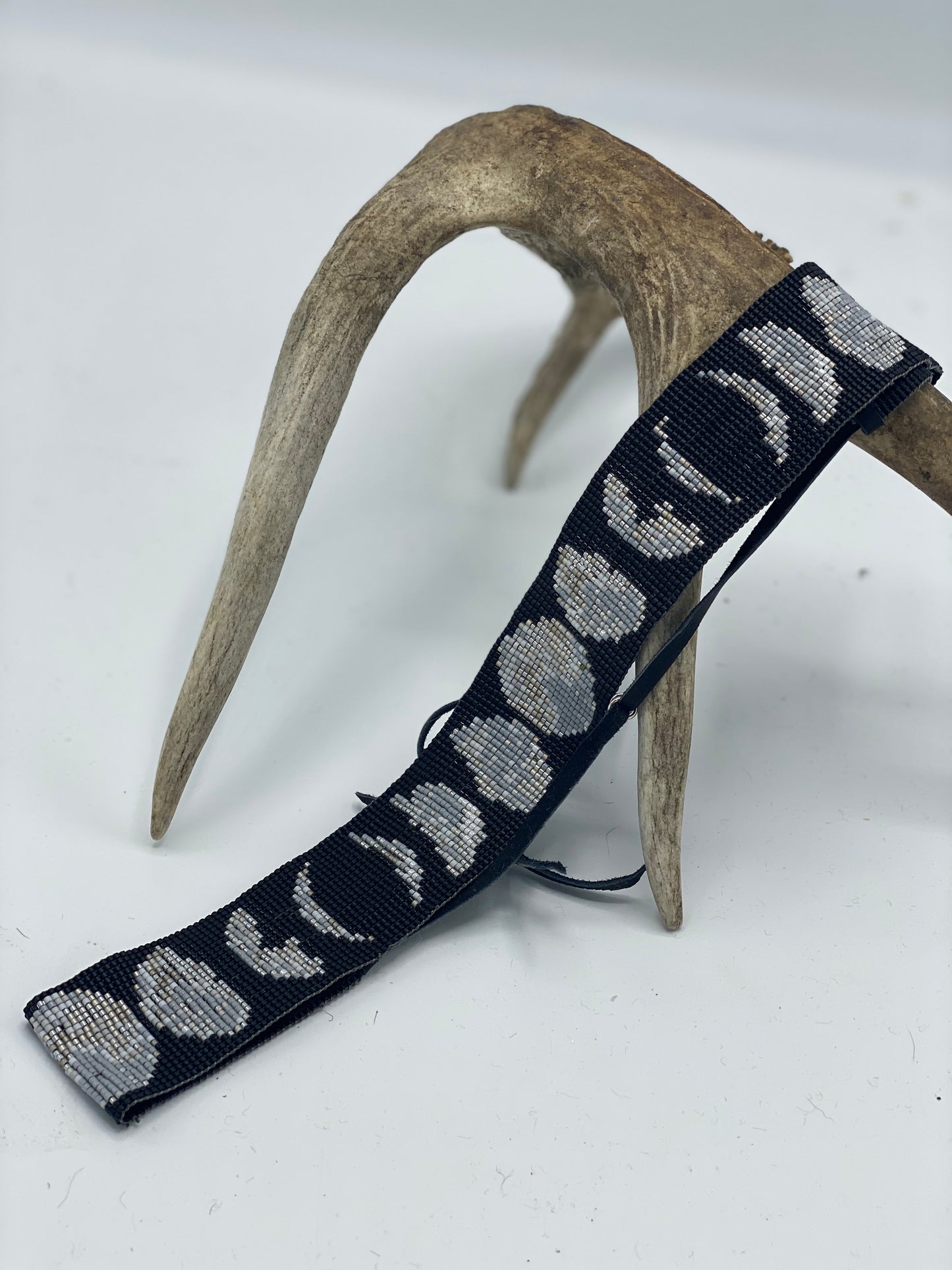 Phases of the Moon
