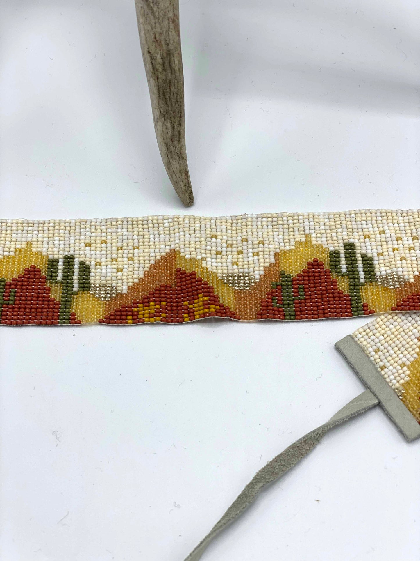 Cactus band