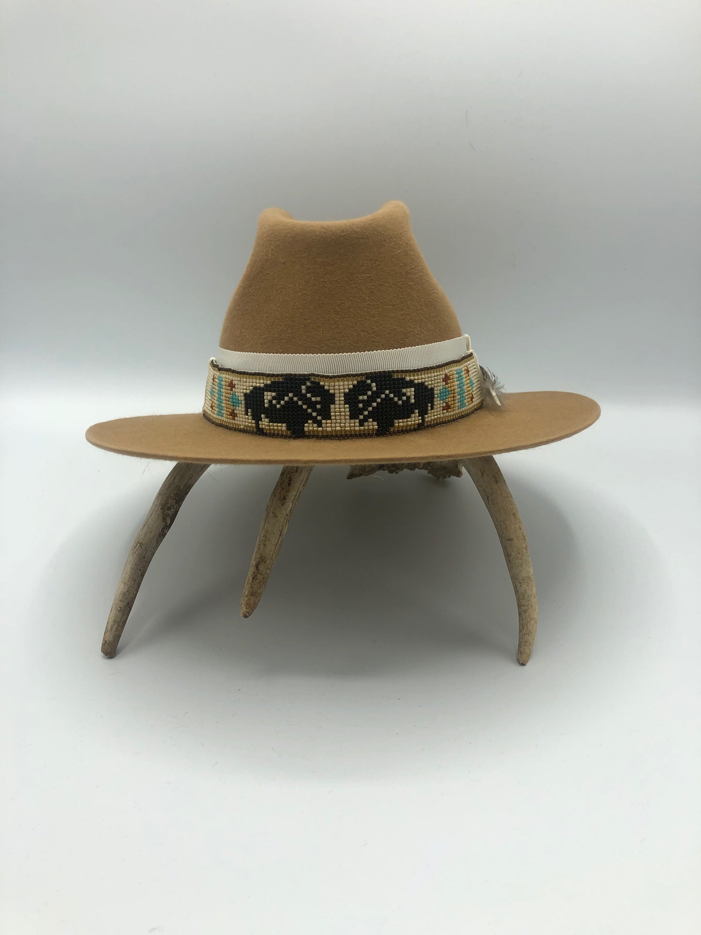 Buffalo Band -