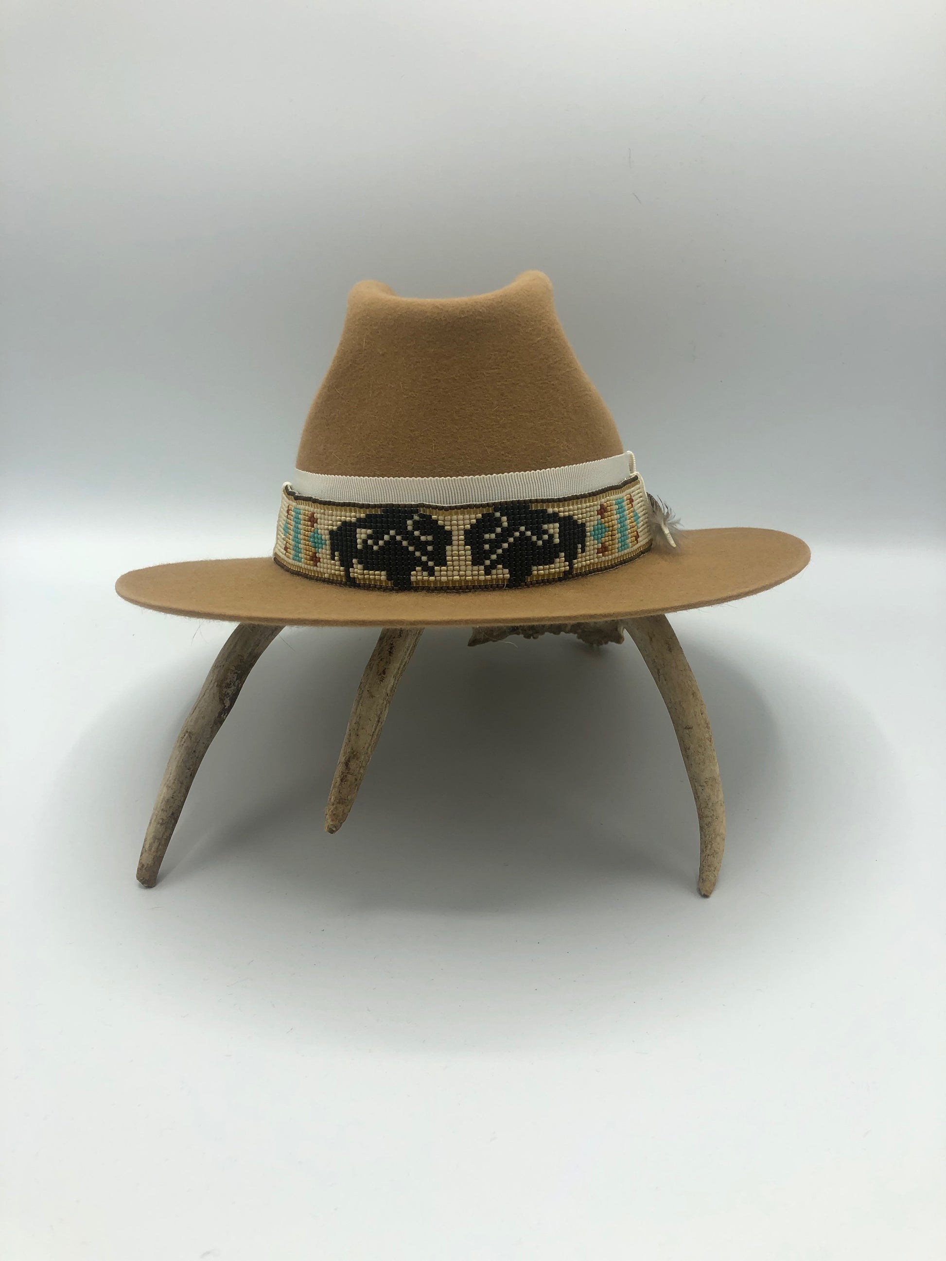 Buffalo Band -