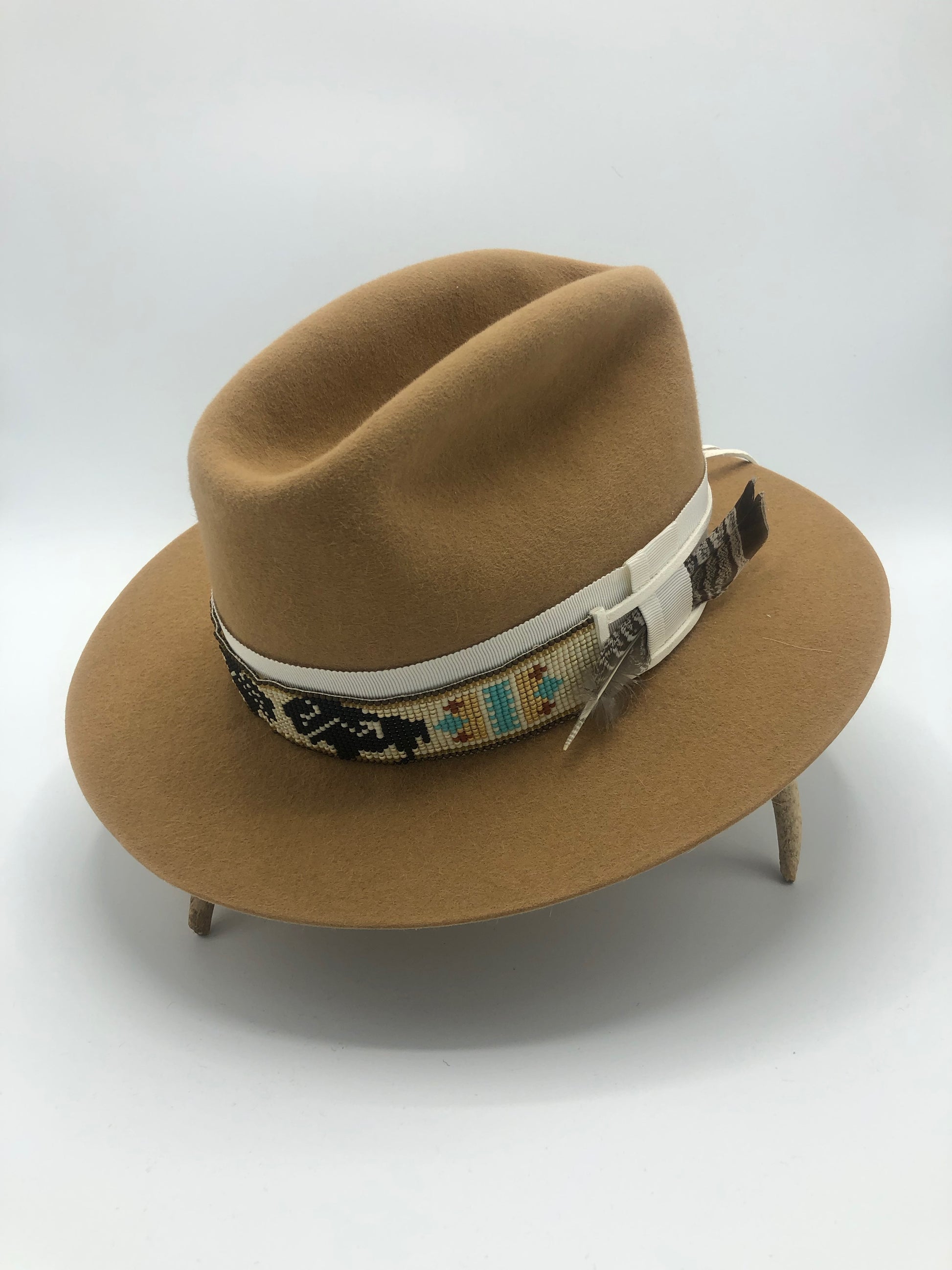 Buffalo Band -
