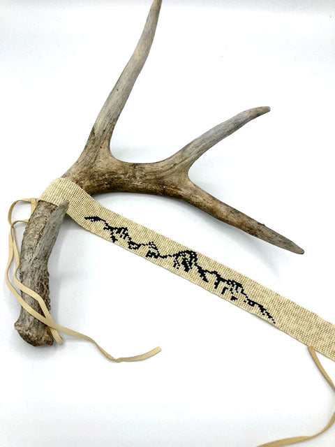 Teton Band -