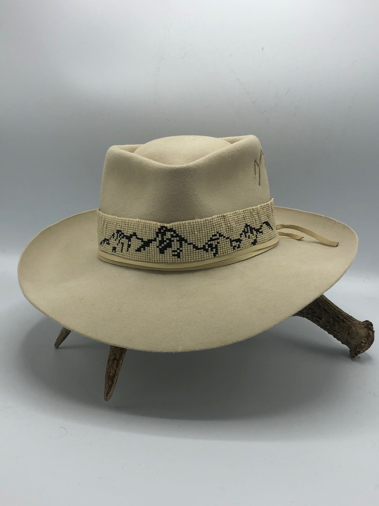 Teton Band -