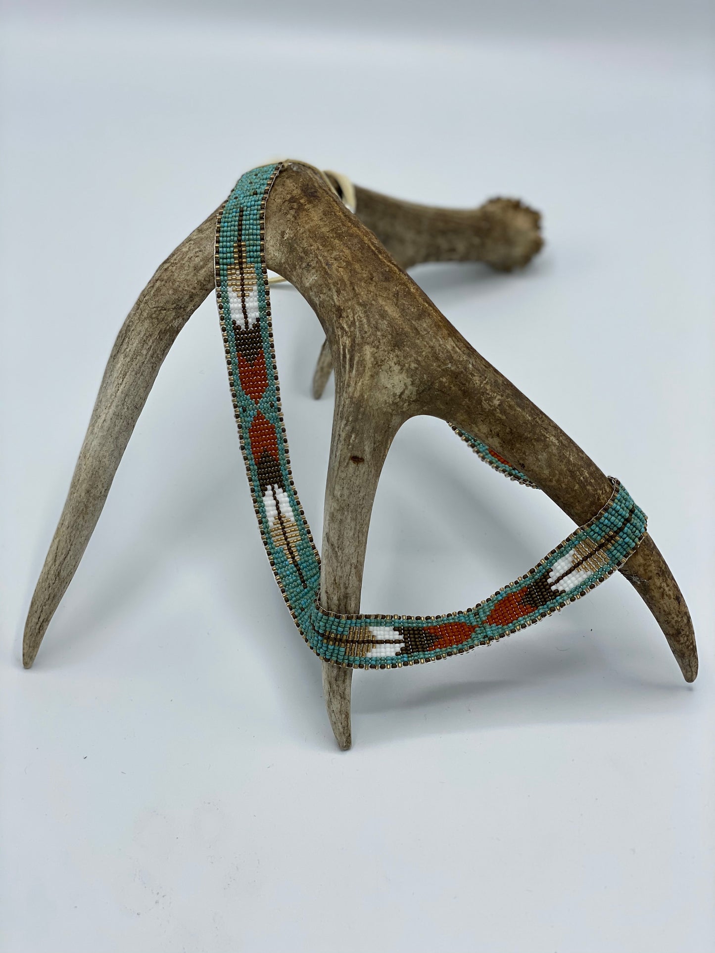 Pheasant Feather