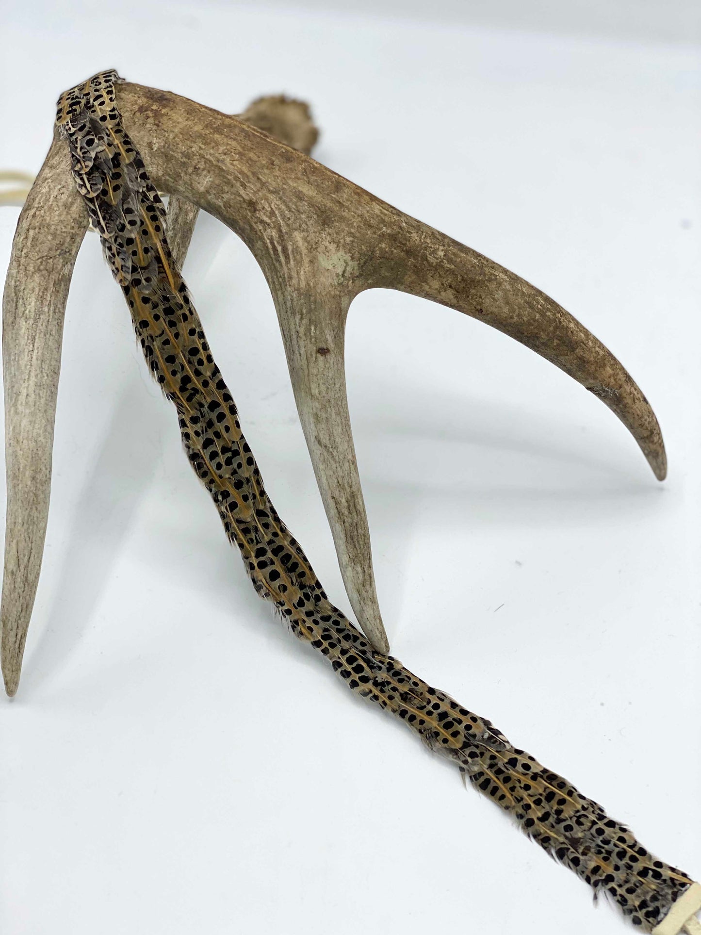 Speckled Charm Feather Band