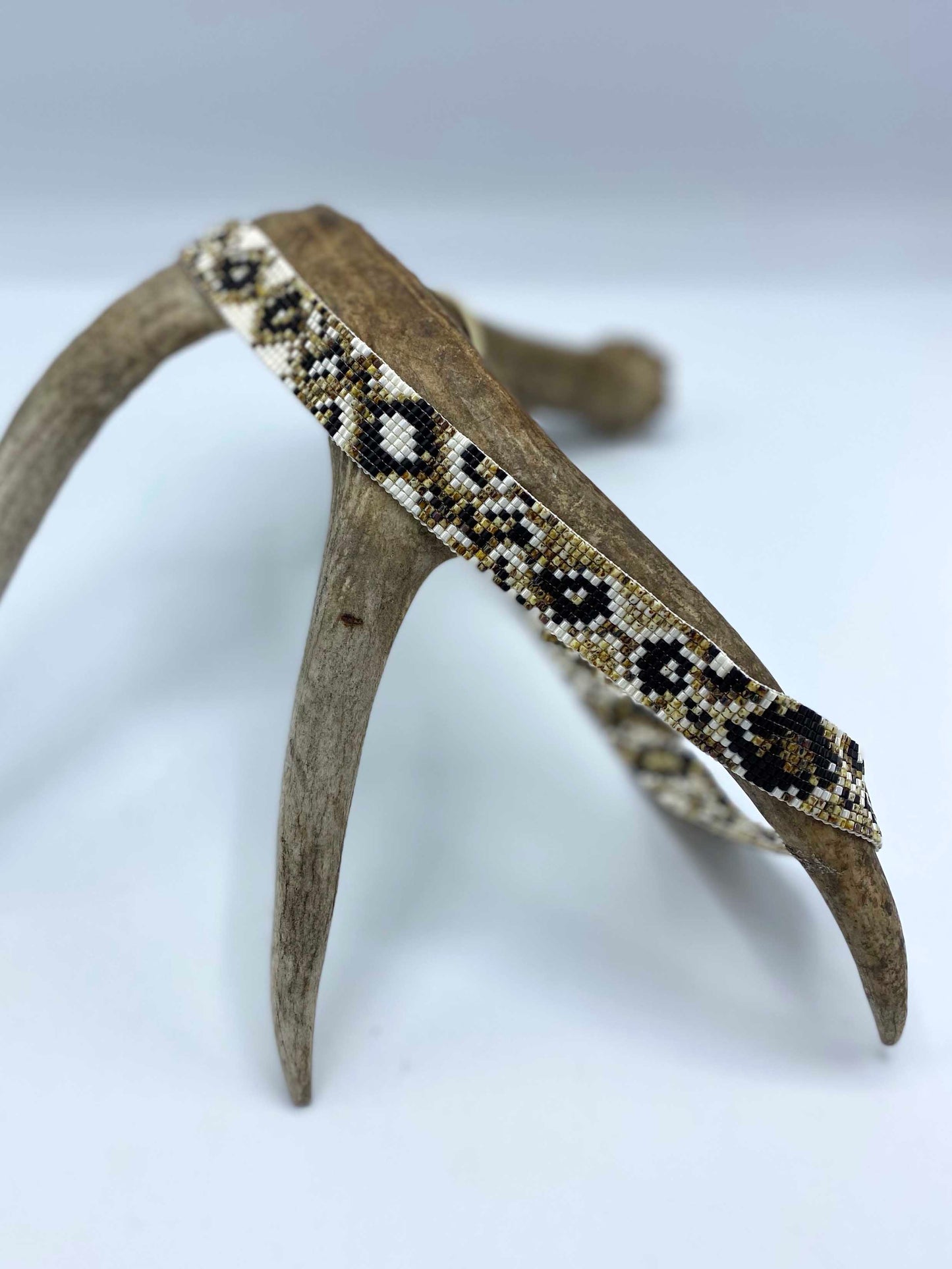 Rattlesnake