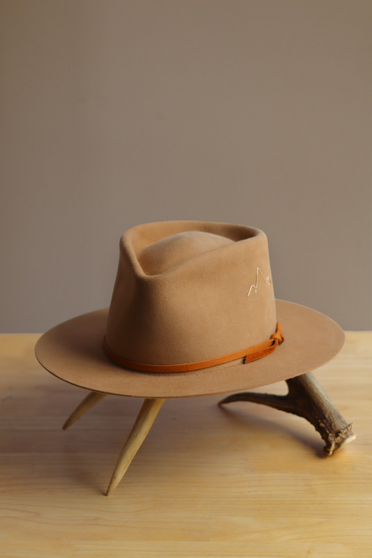 Camel: Dress 100x