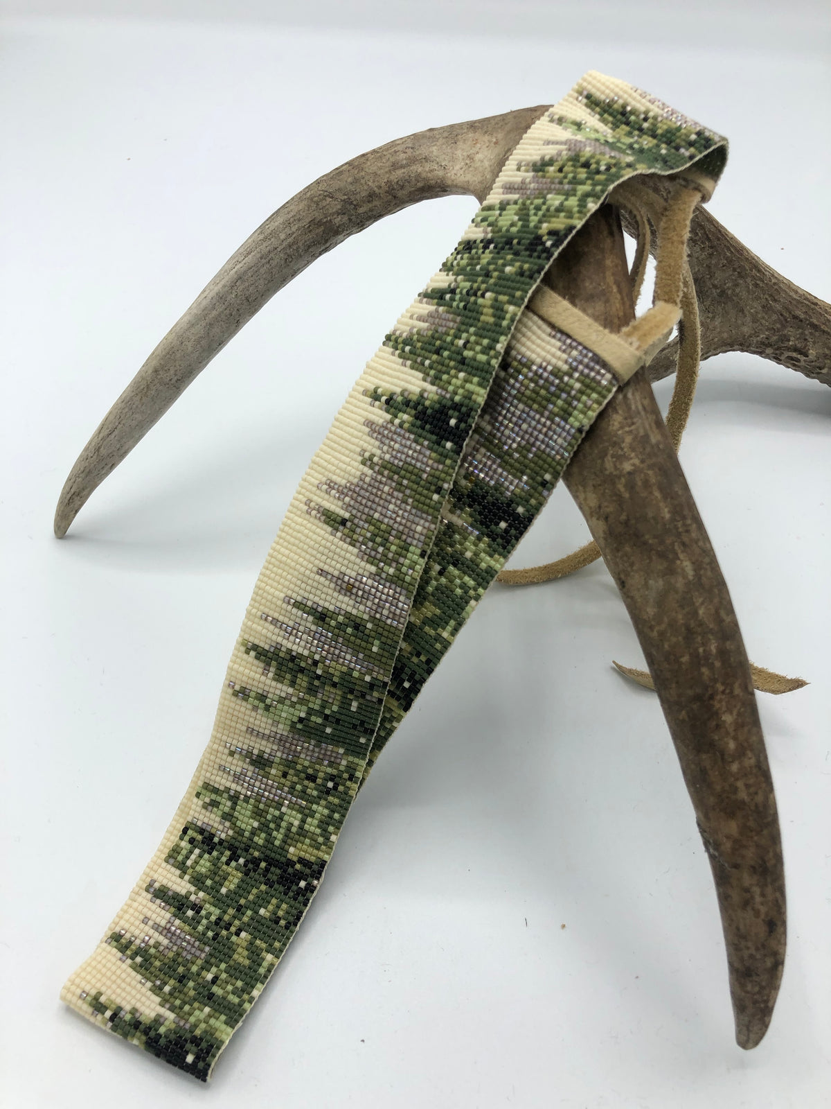 Tree Band – JW Bennett